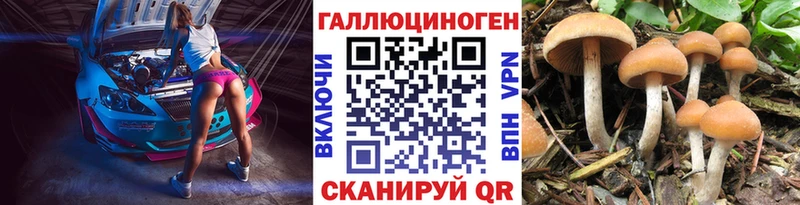 где найти   Плёс  Псилоцибиновые грибы ЛСД 