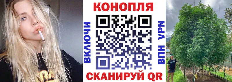 мега ТОР  Плёс  Бошки Шишки VHQ  наркошоп 